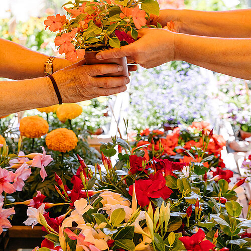 © Ville d'Yverdon-les-Bains / Marion Correvon pour les photos du marché alimentaire