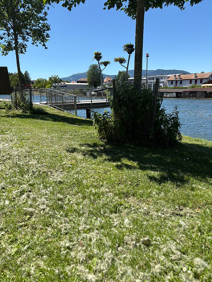 Ville d'Yverdon-les-Bains / MEI